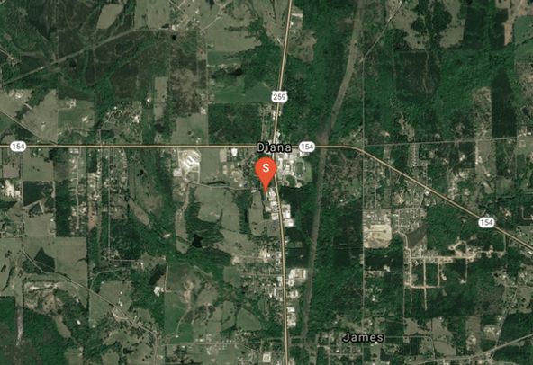 1804 Baseball Loop, Diana, TX 75640